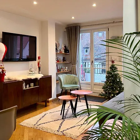 Apartment Magnifique 4 Personnes - 2 - 2 Sdb - Grande Terrasse Rue Des Tetes - Centre *