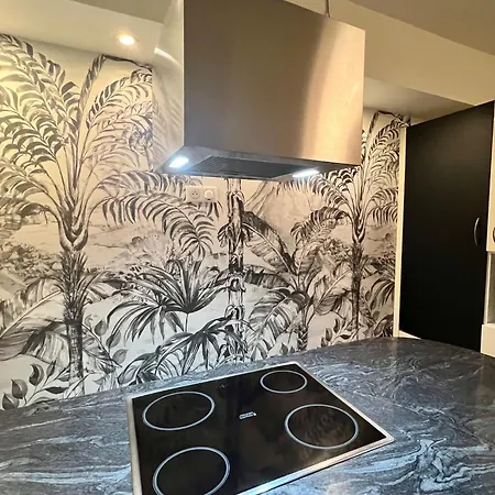Appartamento Magnifique 4 Personnes - 2 - 2 Sdb - Grande Terrasse Rue Des Tetes - Centre