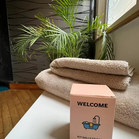 Magnifique 4 Personnes - 2 - 2 Sdb - Grande Terrasse Rue Des Tetes - Centre 科尔马