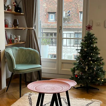 Appartamento Magnifique 4 Personnes - 2 - 2 Sdb - Grande Terrasse Rue Des Tetes - Centre Colmar
