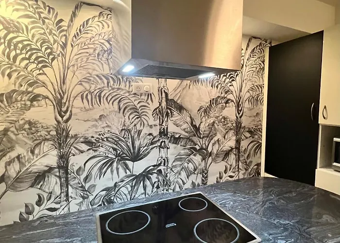 公寓 Magnifique 4 Personnes - 2 - 2 Sdb - Grande Terrasse Rue Des Tetes - Centre