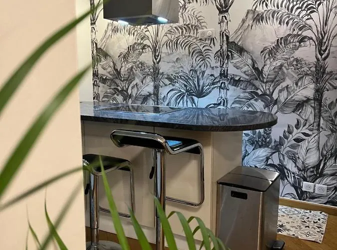 Magnifique 4 Personnes - 2 - 2 Sdb - Grande Terrasse Rue Des Tetes - Centre Apartmán *