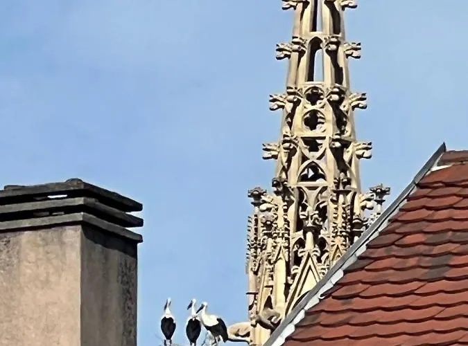 Magnifique 4 Personnes - 2 - 2 Sdb - Grande Terrasse Rue Des Tetes - Centre Colmar