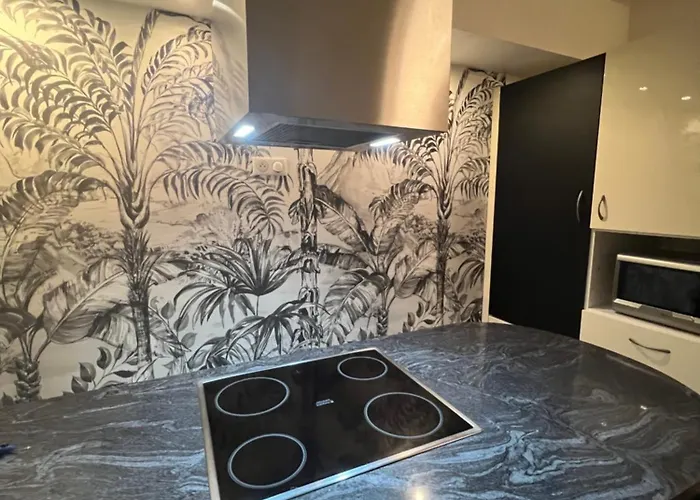 Magnifique 4 Personnes - 2 - 2 Sdb - Grande Terrasse Rue Des Tetes - Centre Colmar