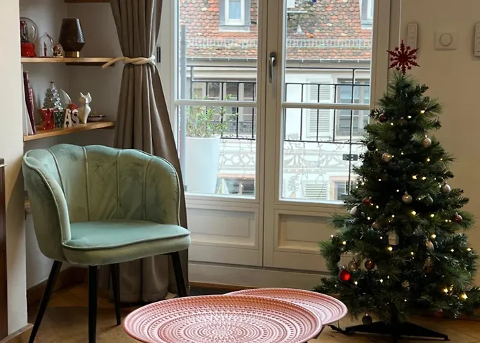 Apartmán Magnifique 4 Personnes - 2 - 2 Sdb - Grande Terrasse Rue Des Tetes - Centre Colmar